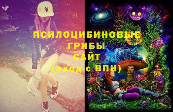 MDMA Новодвинск