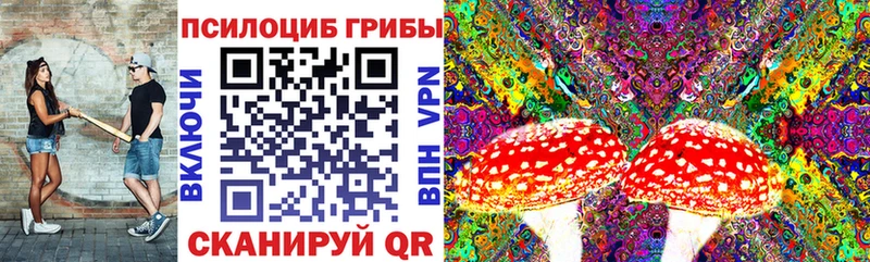 цена наркотик  нарко площадка какой сайт  Галлюциногенные грибы GOLDEN TEACHER  Кемь 