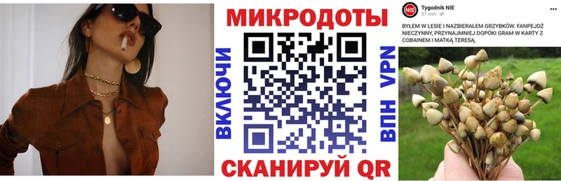 Галлюциногенные грибы мицелий Кемь
